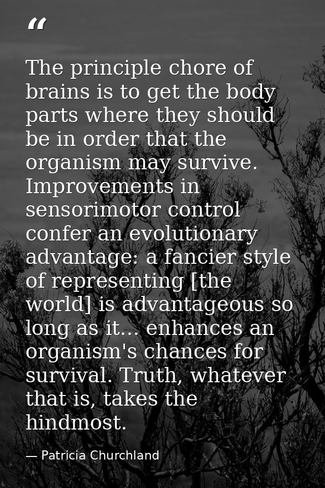 The principle chore of brains is to get the body parts where they should be in order that the organism may survive. Impr — Patricia Churchland