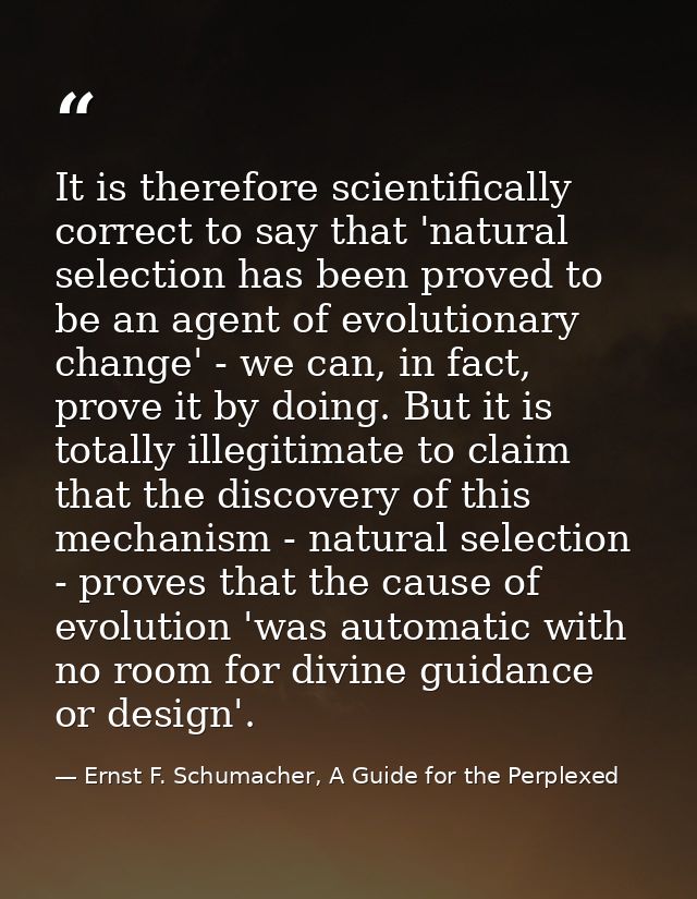 It is therefore scientifically correct to say that 'natural selection has been proved to be an agent of evolutionary cha — Ernst F. Schumacher, A Guide for the Perplexed