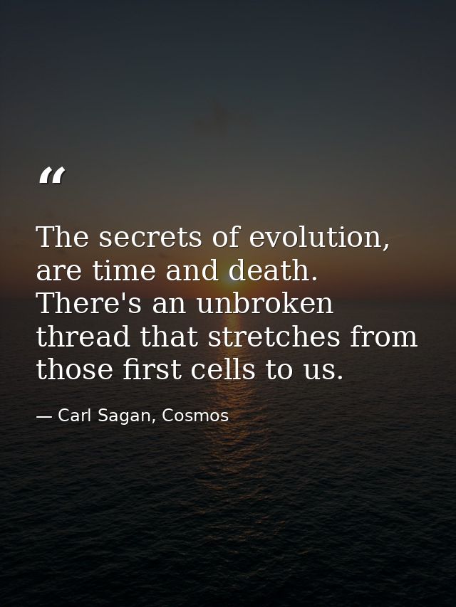 The secrets of evolution, are time and death. There's an unbroken thread that stretches from those first cells to us. — Carl Sagan, Cosmos