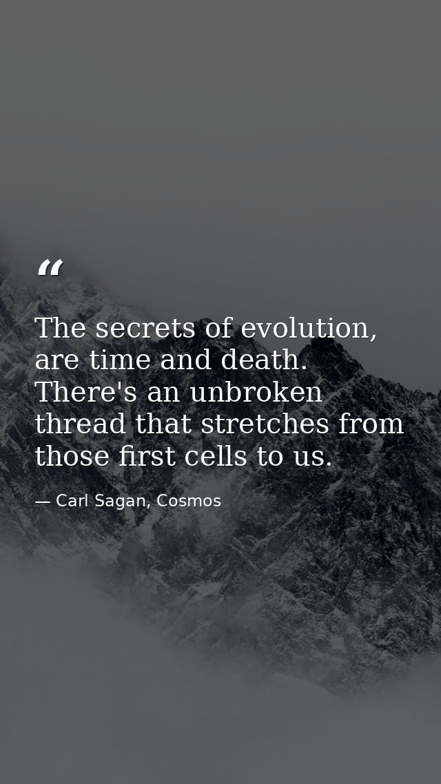 The secrets of evolution, are time and death. There's an unbroken thread that stretches from those first cells to us. — Carl Sagan, Cosmos
