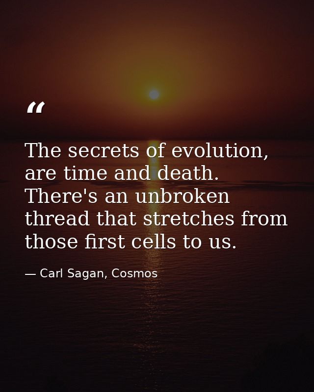 The secrets of evolution, are time and death. There's an unbroken thread that stretches from those first cells to us. — Carl Sagan, Cosmos