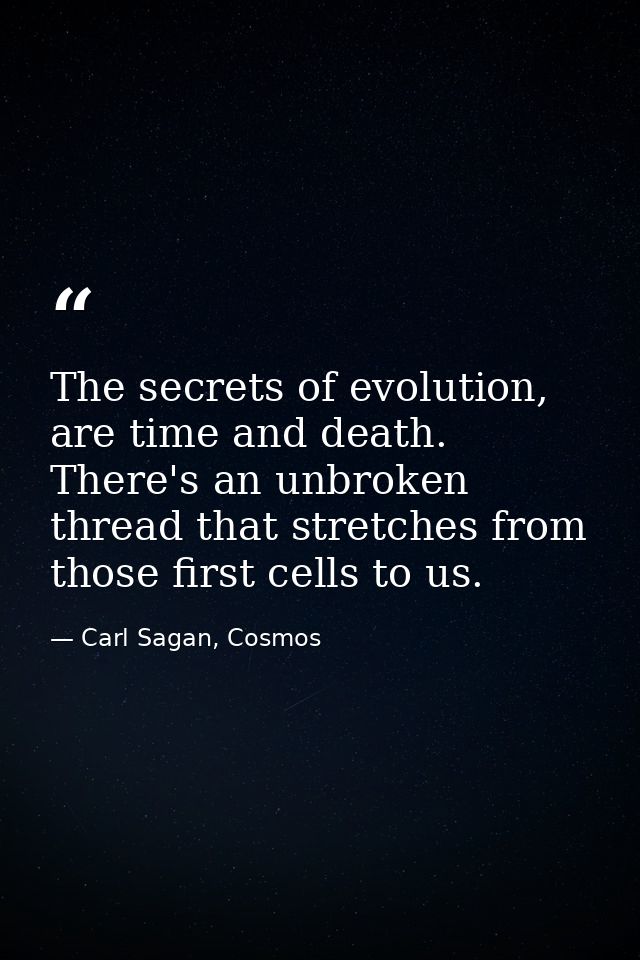 The secrets of evolution, are time and death. There's an unbroken thread that stretches from those first cells to us. — Carl Sagan, Cosmos