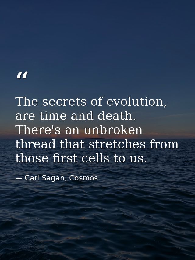 The secrets of evolution, are time and death. There's an unbroken thread that stretches from those first cells to us. — Carl Sagan, Cosmos