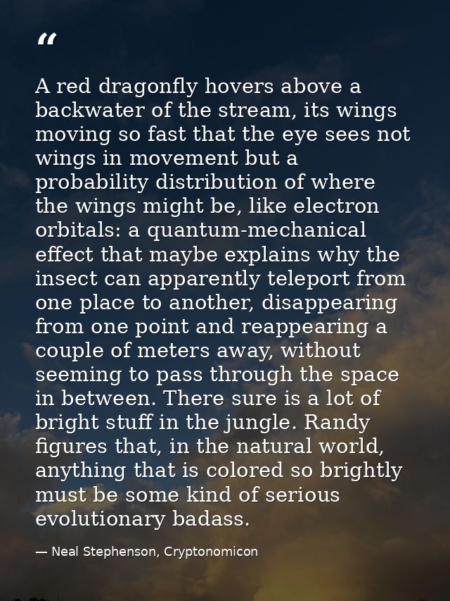 A red dragonfly hovers above a backwater of the stream, its wings moving so fast that the eye sees not wings in movement — Neal Stephenson, Cryptonomicon