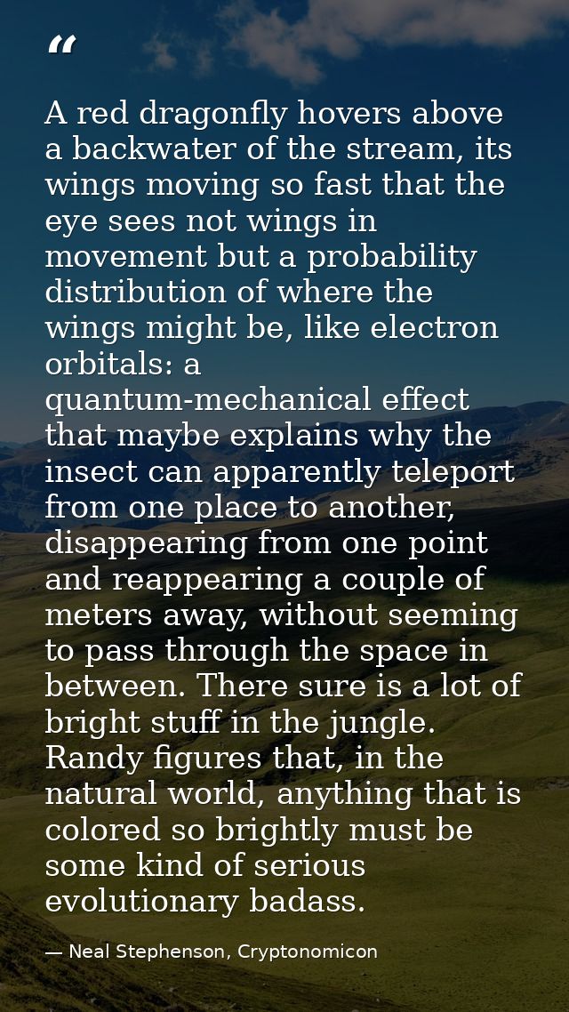 A red dragonfly hovers above a backwater of the stream, its wings moving so fast that the eye sees not wings in movement — Neal Stephenson, Cryptonomicon