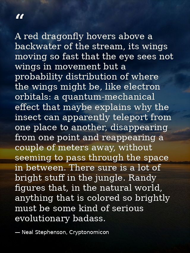 A red dragonfly hovers above a backwater of the stream, its wings moving so fast that the eye sees not wings in movement — Neal Stephenson, Cryptonomicon