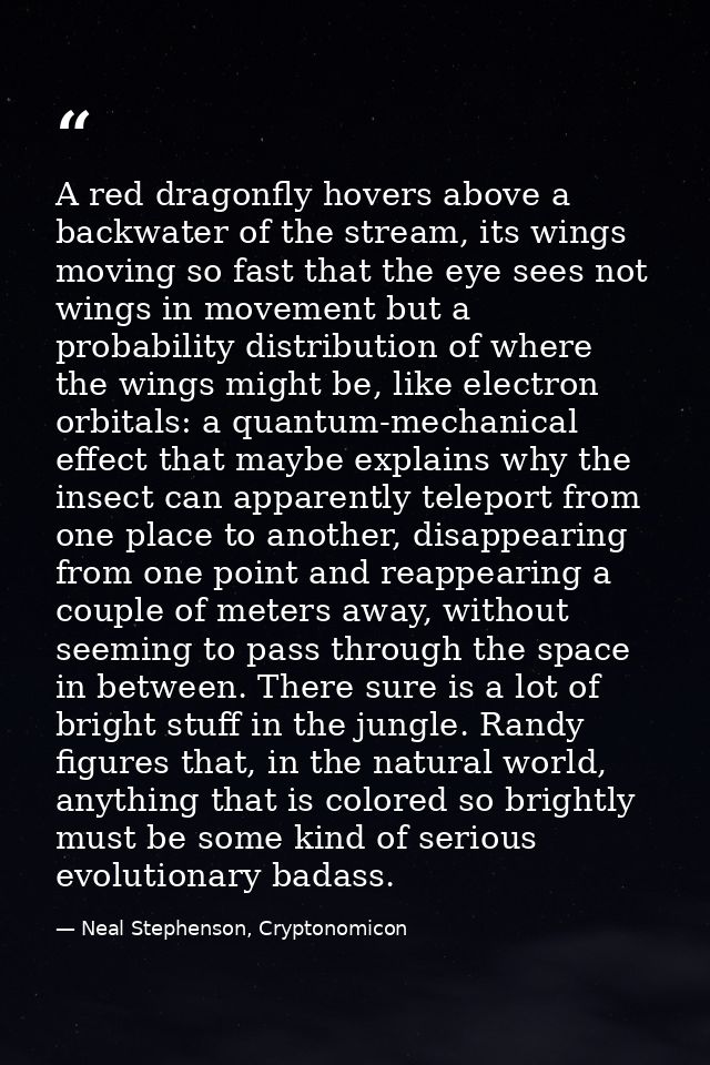 A red dragonfly hovers above a backwater of the stream, its wings moving so fast that the eye sees not wings in movement — Neal Stephenson, Cryptonomicon