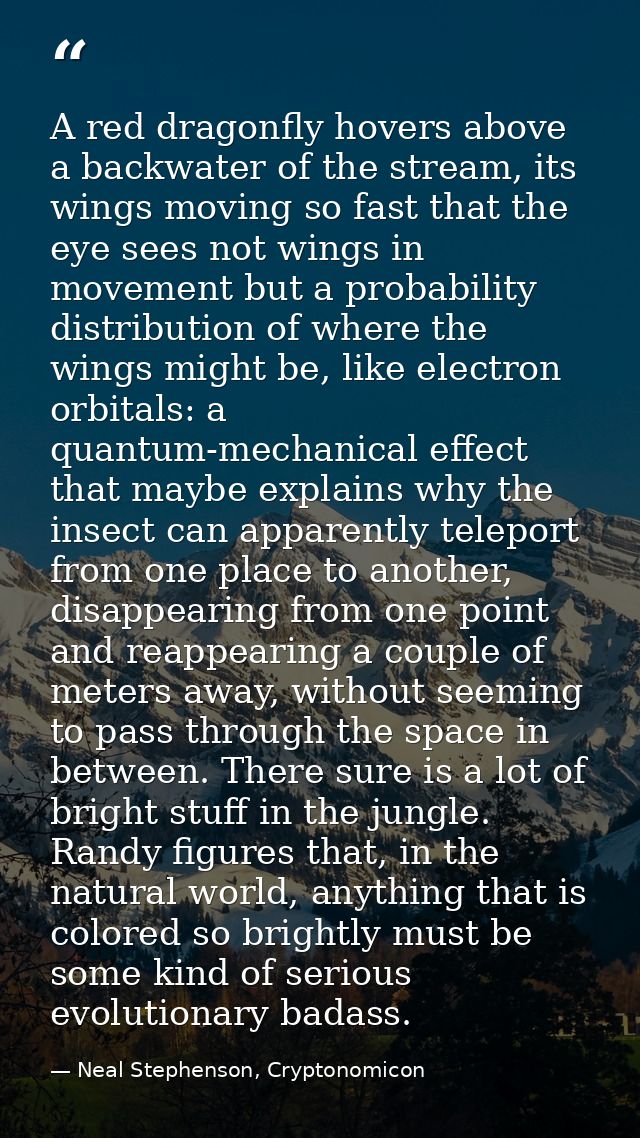 A red dragonfly hovers above a backwater of the stream, its wings moving so fast that the eye sees not wings in movement — Neal Stephenson, Cryptonomicon