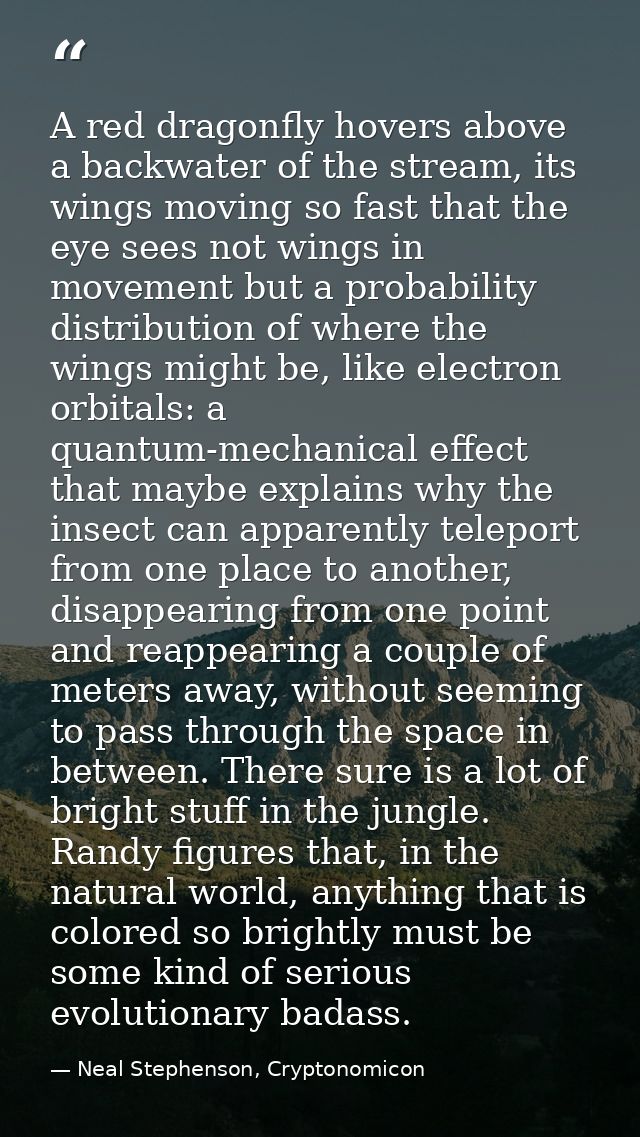 A red dragonfly hovers above a backwater of the stream, its wings moving so fast that the eye sees not wings in movement — Neal Stephenson, Cryptonomicon