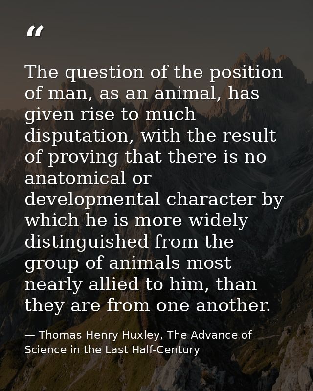 The question of the position of man, as an animal, has given rise to much disputation, with the result of proving that t — Thomas Henry Huxley, The Advance of Science in the Last Half-Century