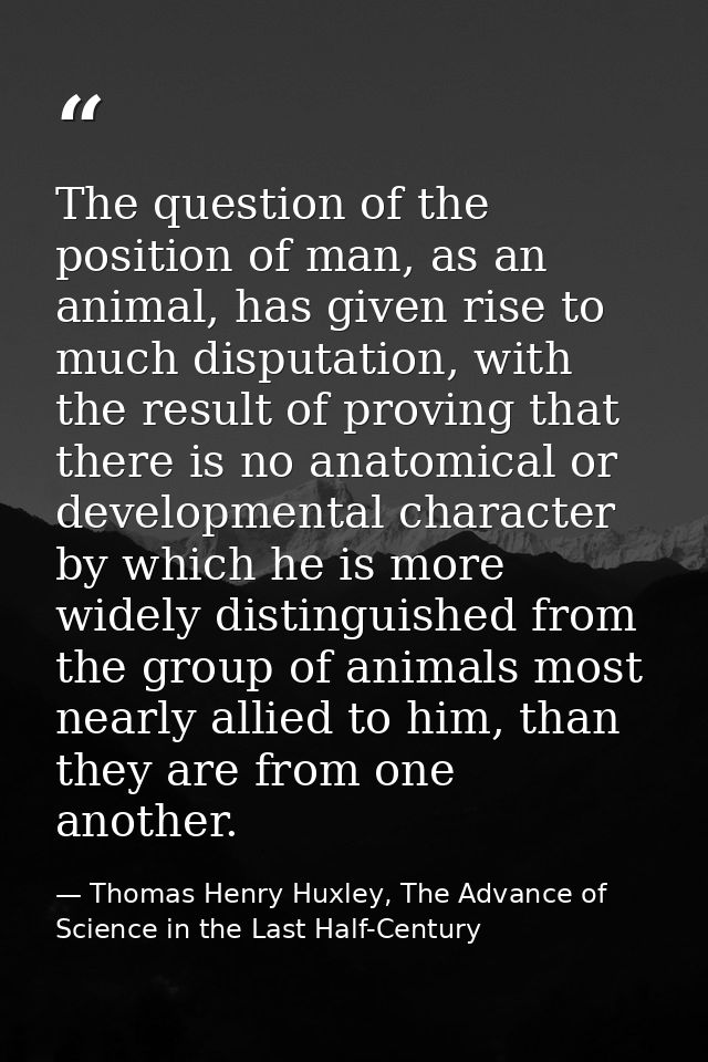 The question of the position of man, as an animal, has given rise to much disputation, with the result of proving that t — Thomas Henry Huxley, The Advance of Science in the Last Half-Century