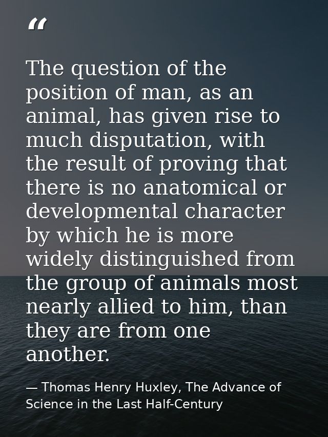 The question of the position of man, as an animal, has given rise to much disputation, with the result of proving that t — Thomas Henry Huxley, The Advance of Science in the Last Half-Century