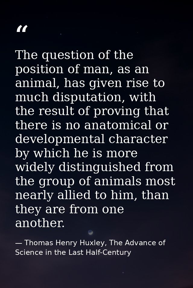 The question of the position of man, as an animal, has given rise to much disputation, with the result of proving that t — Thomas Henry Huxley, The Advance of Science in the Last Half-Century