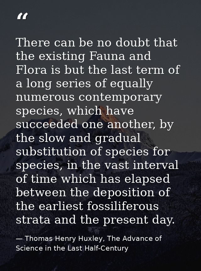 There can be no doubt that the existing Fauna and Flora is but the last term of a long series of equally numerous contem — Thomas Henry Huxley, The Advance of Science in the Last Half-Century