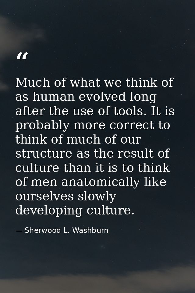 Much of what we think of as human evolved long after the use of tools. It is probably more correct to think of much of o — Sherwood L. Washburn