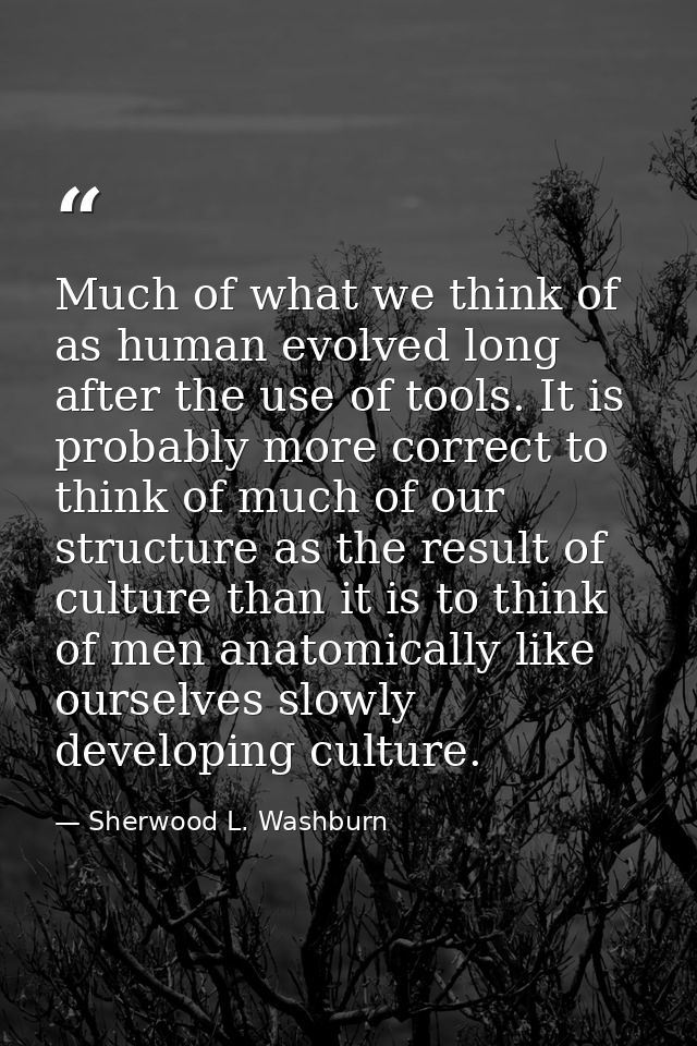Much of what we think of as human evolved long after the use of tools. It is probably more correct to think of much of o — Sherwood L. Washburn
