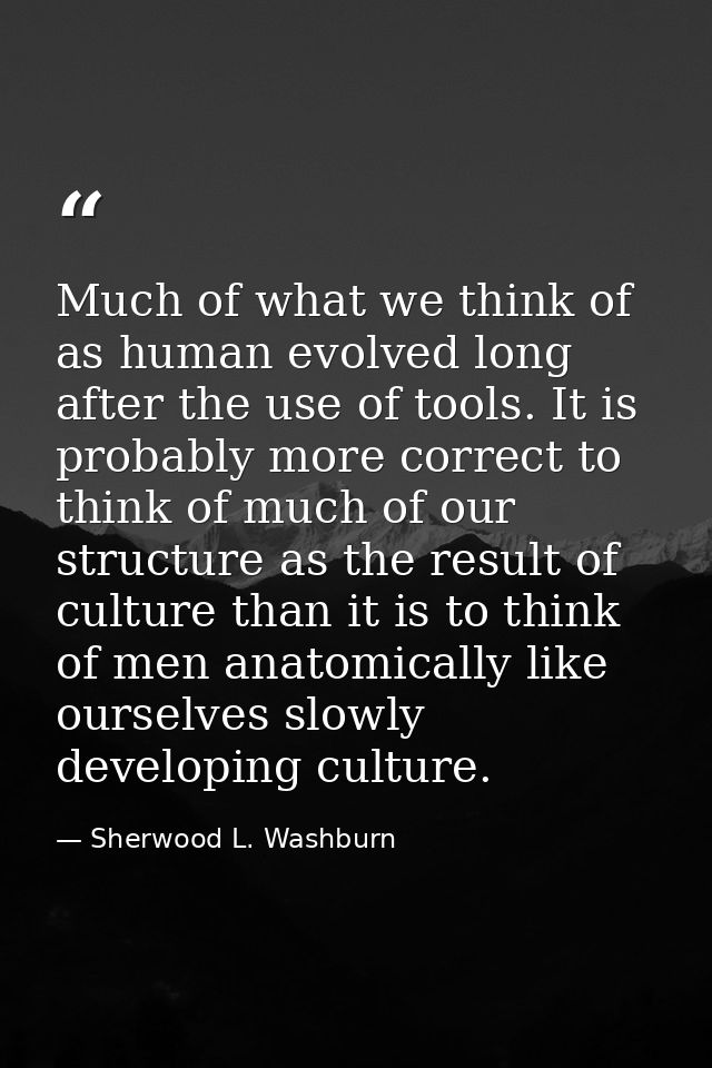Much of what we think of as human evolved long after the use of tools. It is probably more correct to think of much of o — Sherwood L. Washburn