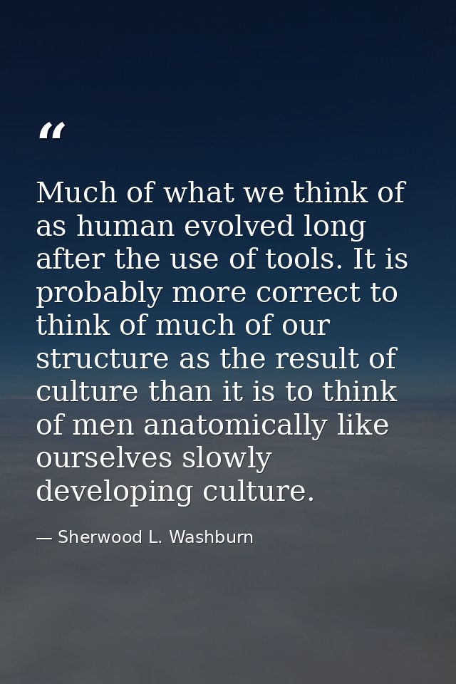 Much of what we think of as human evolved long after the use of tools. It is probably more correct to think of much of o — Sherwood L. Washburn