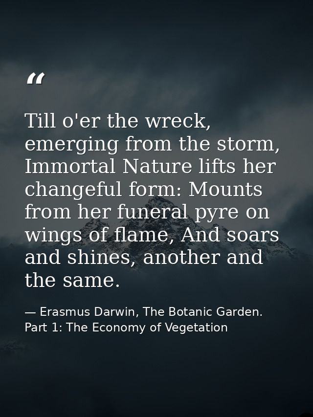Till o'er the wreck, emerging from the storm, Immortal Nature lifts her changeful form: Mounts from her funeral pyre on  — Erasmus Darwin, The Botanic Garden. Part 1: The Economy of Vegetation