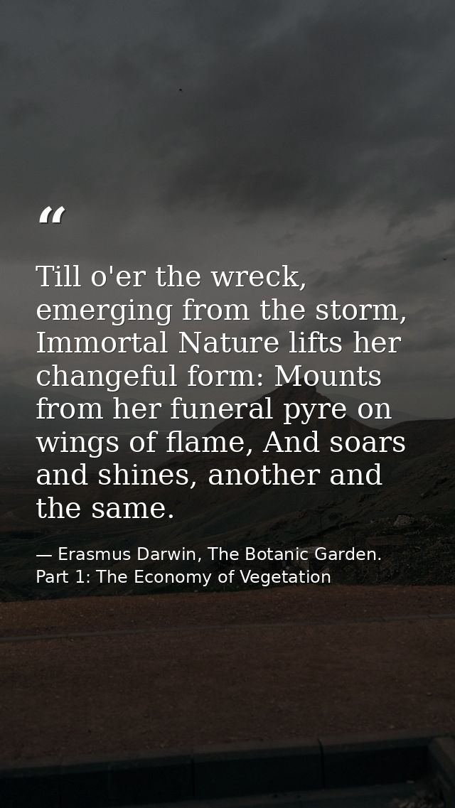 Till o'er the wreck, emerging from the storm, Immortal Nature lifts her changeful form: Mounts from her funeral pyre on  — Erasmus Darwin, The Botanic Garden. Part 1: The Economy of Vegetation