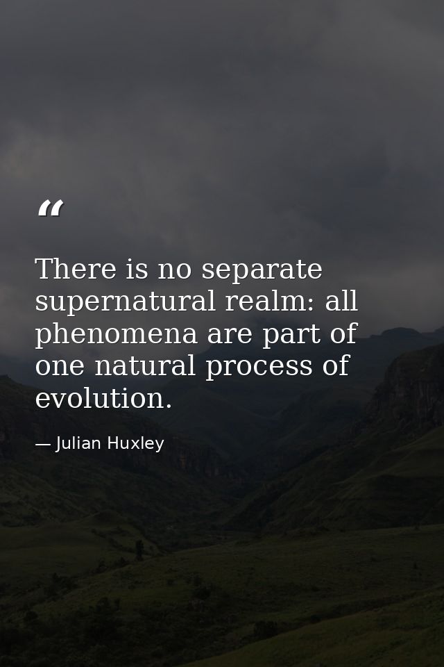 There is no separate supernatural realm: all phenomena are part of one natural process of evolution. — Julian Huxley