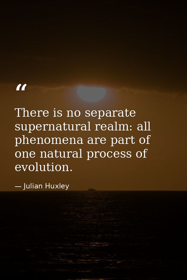 There is no separate supernatural realm: all phenomena are part of one natural process of evolution. — Julian Huxley