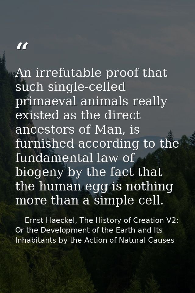 An irrefutable proof that such single-celled primaeval animals really existed as the direct ancestors of Man, is furnish — Ernst Haeckel, The History of Creation V2: Or the Development of the Earth and Its Inhabitants by the Action of Natural Causes