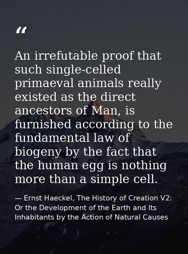 An irrefutable proof that such single-celled primaeval animals really existed as the direct ancestors of Man, is furnish — Ernst Haeckel, The History of Creation V2: Or the Development of the Earth and Its Inhabitants by the Action of Natural Causes