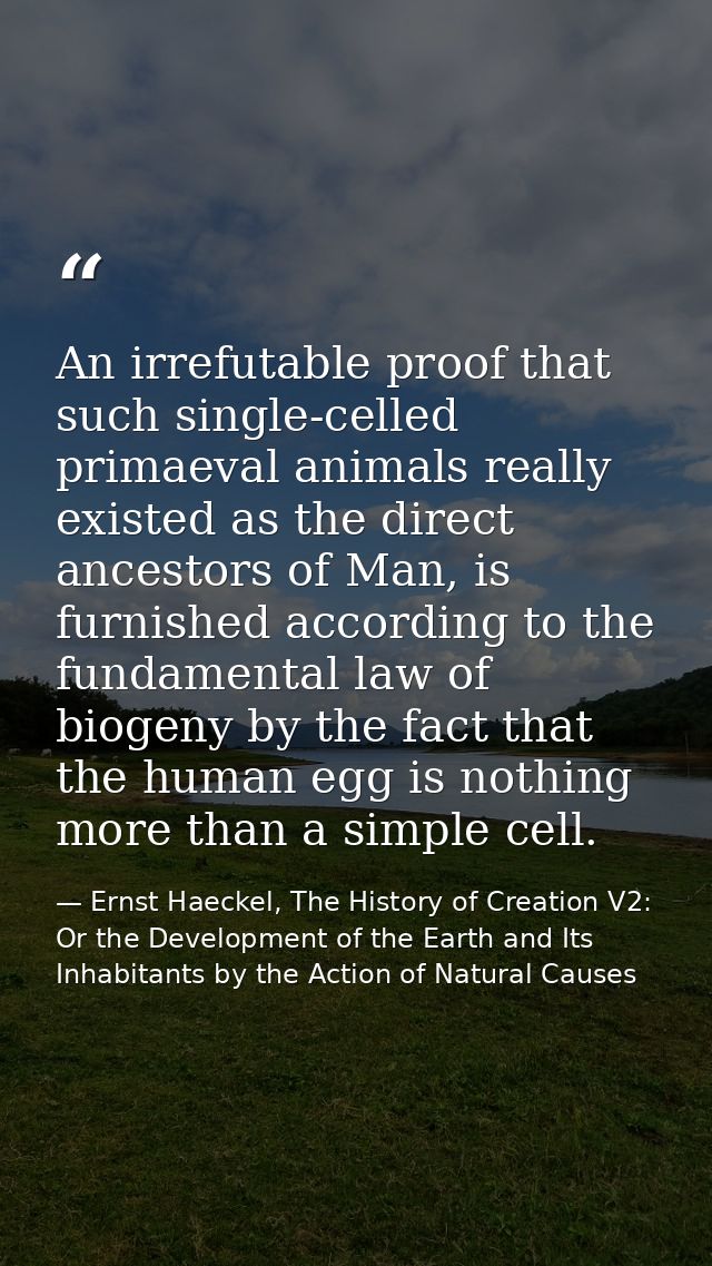 An irrefutable proof that such single-celled primaeval animals really existed as the direct ancestors of Man, is furnish — Ernst Haeckel, The History of Creation V2: Or the Development of the Earth and Its Inhabitants by the Action of Natural Causes