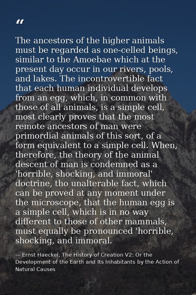 The ancestors of the higher animals must be regarded as one-celled beings, similar to the Amoebae which at the present d — Ernst Haeckel, The History of Creation V2: Or the Development of the Earth and Its Inhabitants by the Action of Natural Causes
