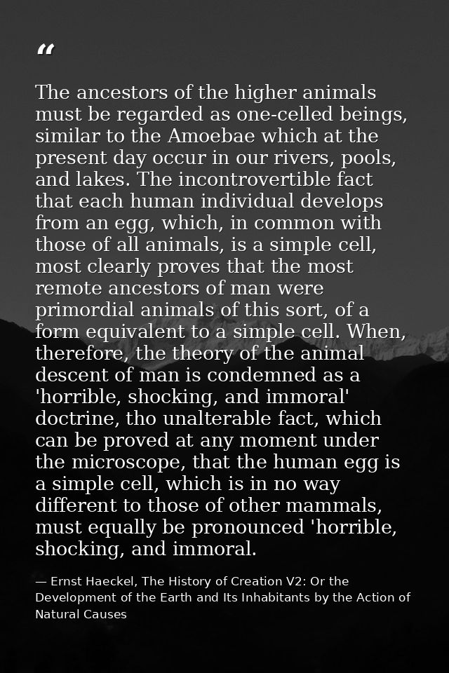 The ancestors of the higher animals must be regarded as one-celled beings, similar to the Amoebae which at the present d — Ernst Haeckel, The History of Creation V2: Or the Development of the Earth and Its Inhabitants by the Action of Natural Causes