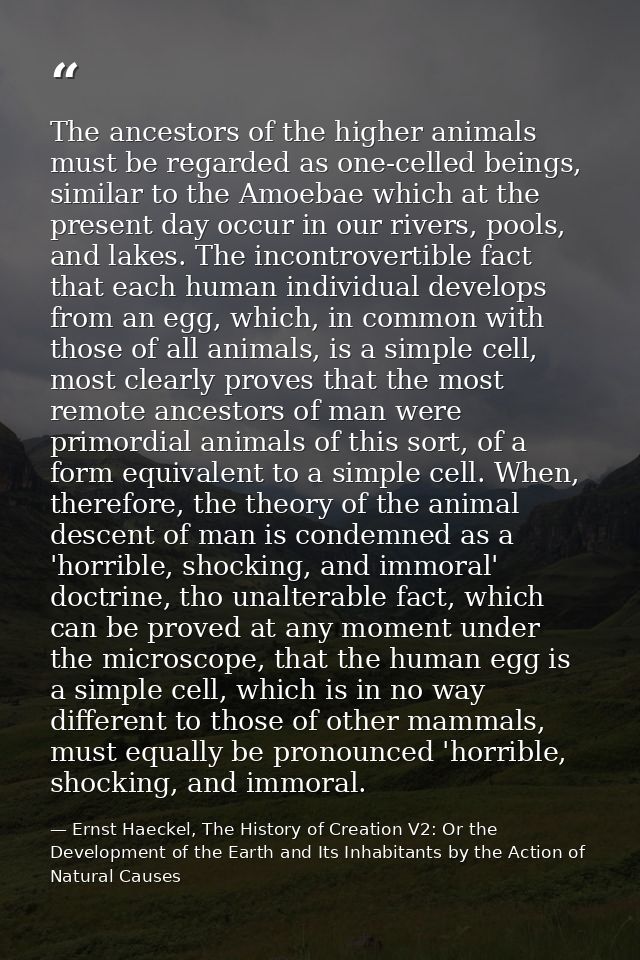 The ancestors of the higher animals must be regarded as one-celled beings, similar to the Amoebae which at the present d — Ernst Haeckel, The History of Creation V2: Or the Development of the Earth and Its Inhabitants by the Action of Natural Causes