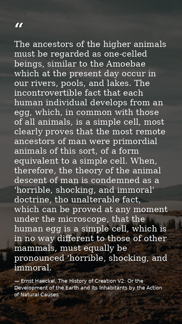 The ancestors of the higher animals must be regarded as one-celled beings, similar to the Amoebae which at the present d — Ernst Haeckel, The History of Creation V2: Or the Development of the Earth and Its Inhabitants by the Action of Natural Causes