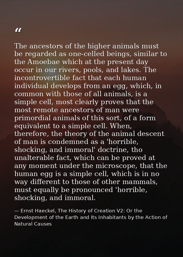 The ancestors of the higher animals must be regarded as one-celled beings, similar to the Amoebae which at the present d — Ernst Haeckel, The History of Creation V2: Or the Development of the Earth and Its Inhabitants by the Action of Natural Causes