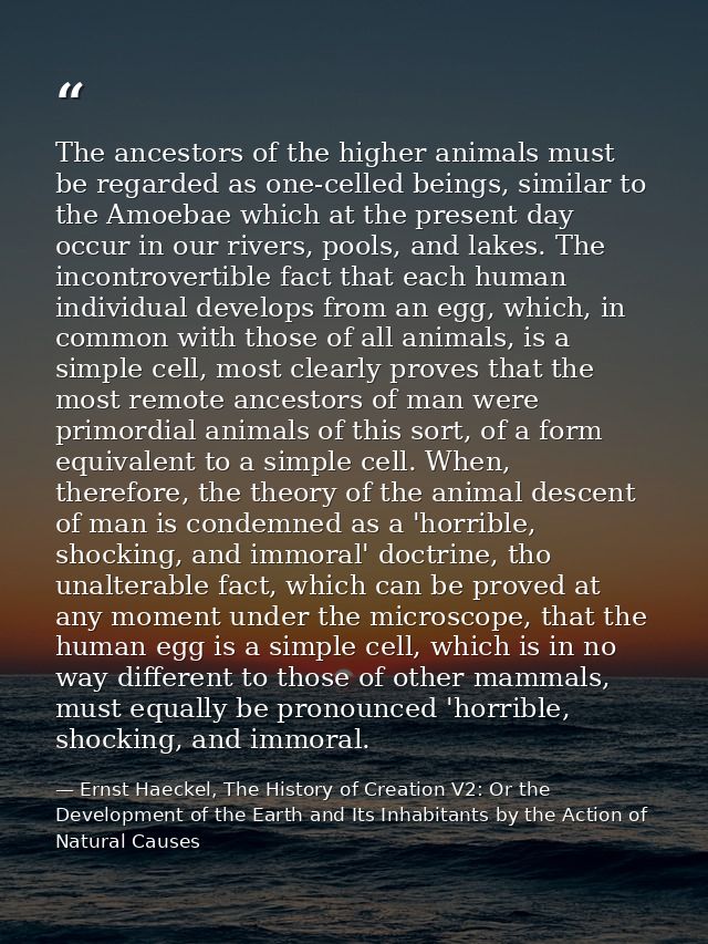 The ancestors of the higher animals must be regarded as one-celled beings, similar to the Amoebae which at the present d — Ernst Haeckel, The History of Creation V2: Or the Development of the Earth and Its Inhabitants by the Action of Natural Causes