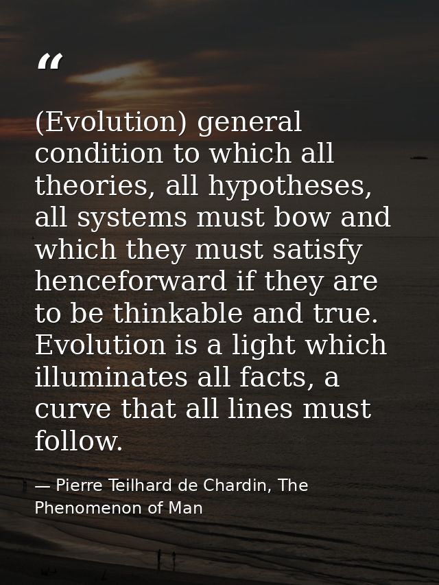 (Evolution) general condition to which all theories, all hypotheses, all systems must bow and which they must satisfy he — Pierre Teilhard de Chardin, The Phenomenon of Man