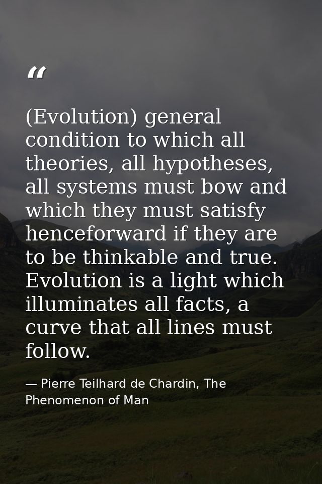 (Evolution) general condition to which all theories, all hypotheses, all systems must bow and which they must satisfy he — Pierre Teilhard de Chardin, The Phenomenon of Man