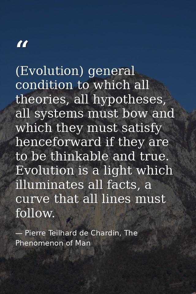 (Evolution) general condition to which all theories, all hypotheses, all systems must bow and which they must satisfy he — Pierre Teilhard de Chardin, The Phenomenon of Man