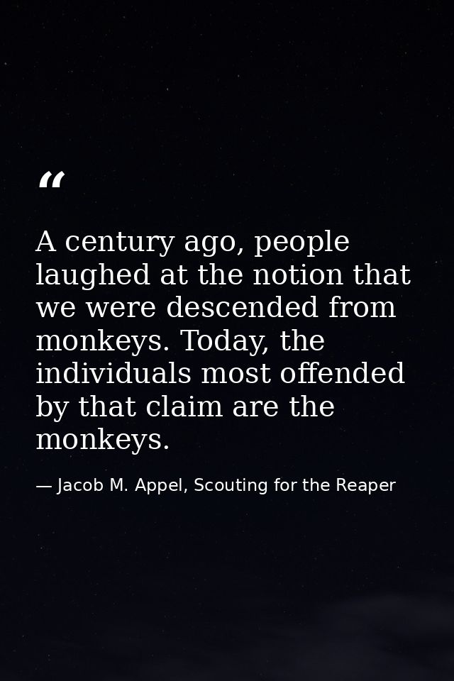 A century ago, people laughed at the notion that we were descended from monkeys. Today, the individuals most offended by — Jacob M. Appel, Scouting for the Reaper