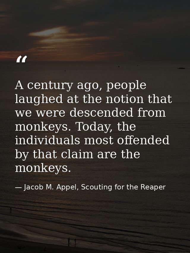 A century ago, people laughed at the notion that we were descended from monkeys. Today, the individuals most offended by — Jacob M. Appel, Scouting for the Reaper