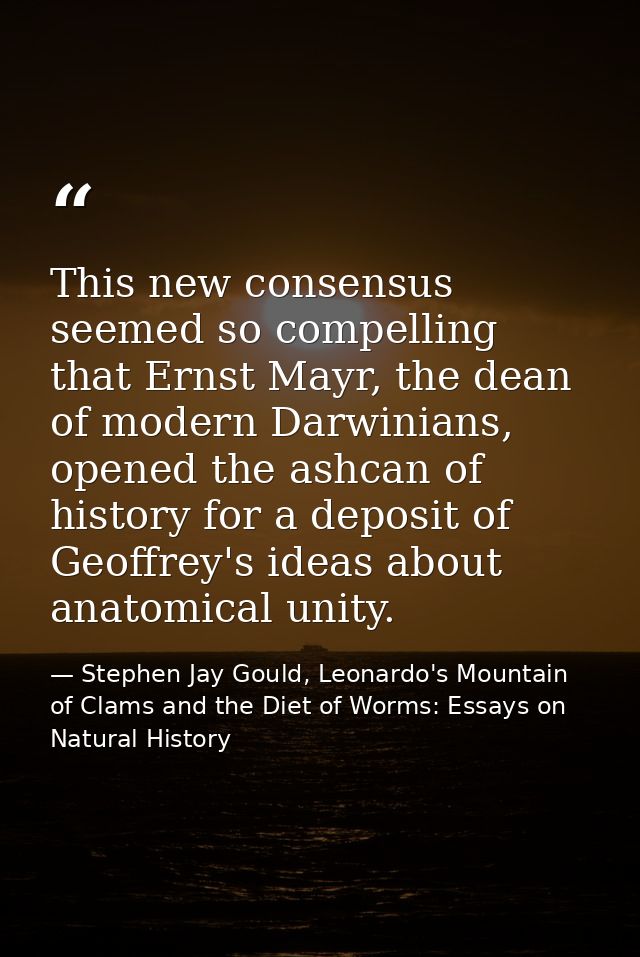 This new consensus seemed so compelling that Ernst Mayr, the dean of modern Darwinians, opened the ashcan of history for — Stephen Jay Gould, Leonardo's Mountain of Clams and the Diet of Worms: Essays on Natural History