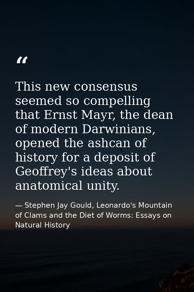 This new consensus seemed so compelling that Ernst Mayr, the dean of modern Darwinians, opened the ashcan of history for — Stephen Jay Gould, Leonardo's Mountain of Clams and the Diet of Worms: Essays on Natural History