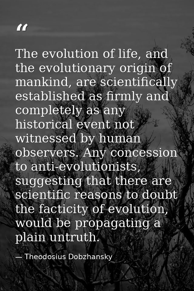 The evolution of life, and the evolutionary origin of mankind, are scientifically established as firmly and completely a — Theodosius Dobzhansky