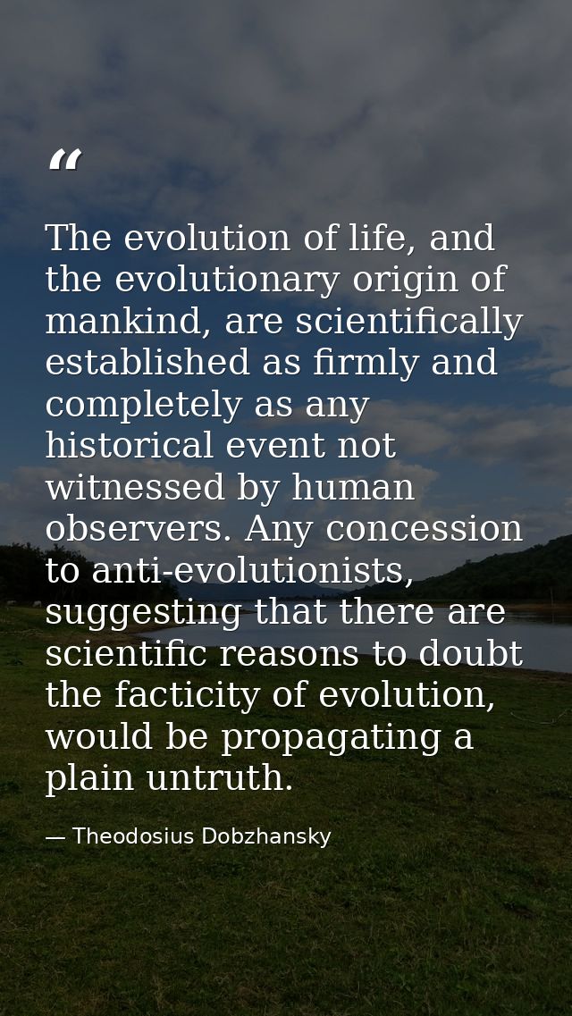 The evolution of life, and the evolutionary origin of mankind, are scientifically established as firmly and completely a — Theodosius Dobzhansky