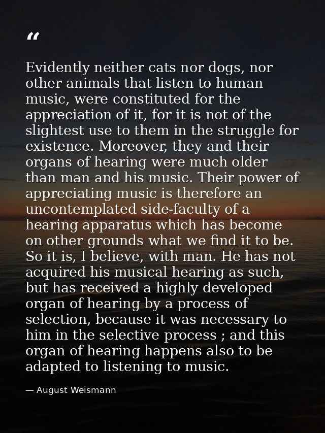 Evidently neither cats nor dogs, nor other animals that listen to human music, were constituted for the appreciation of  — August Weismann