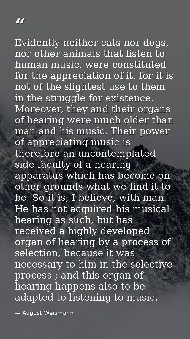 Evidently neither cats nor dogs, nor other animals that listen to human music, were constituted for the appreciation of  — August Weismann