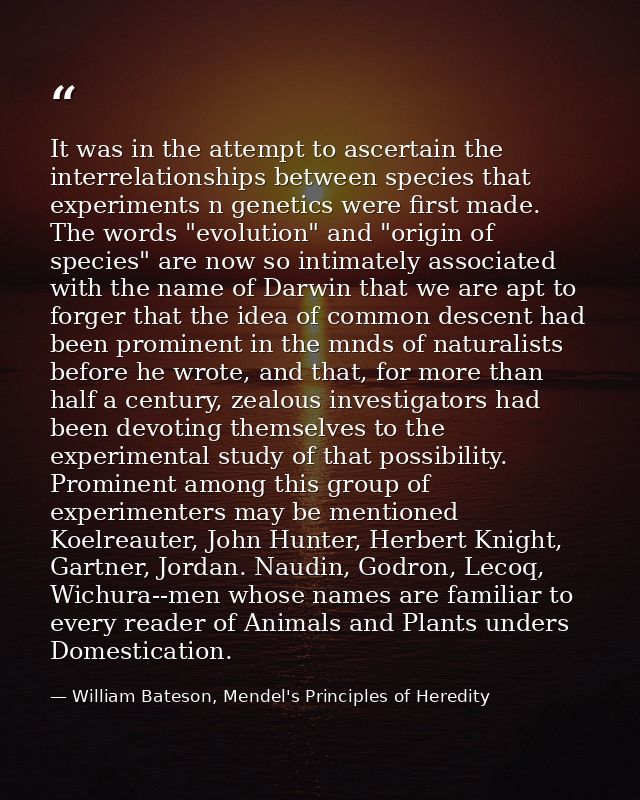 It was in the attempt to ascertain the interrelationships between species that experiments n genetics were first made. T — William Bateson, Mendel's Principles of Heredity