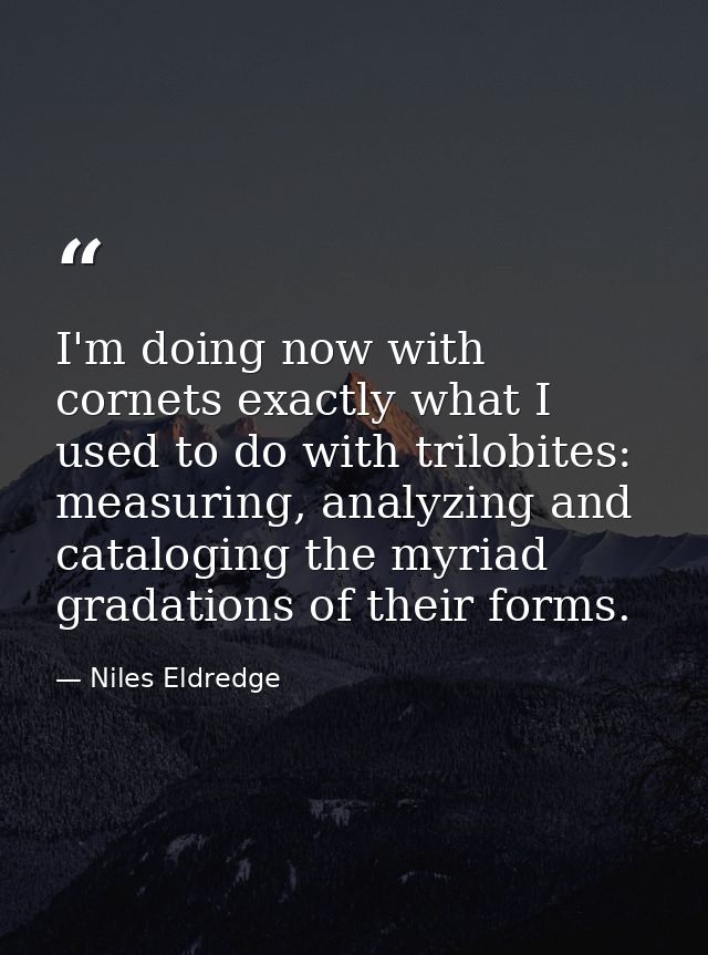 I'm doing now with cornets exactly what I used to do with trilobites: measuring, analyzing and cataloging the myriad gra — Niles Eldredge