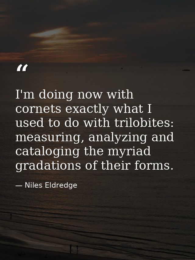 I'm doing now with cornets exactly what I used to do with trilobites: measuring, analyzing and cataloging the myriad gra — Niles Eldredge