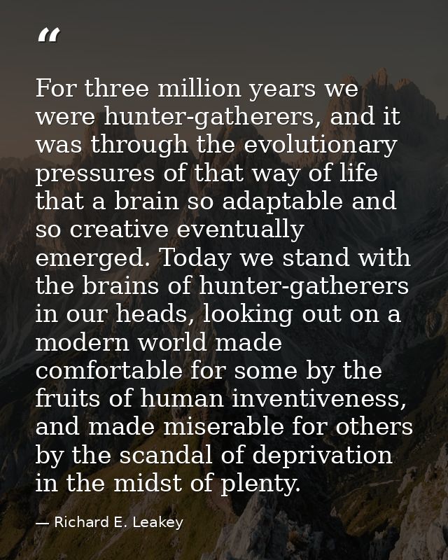 For three million years we were hunter-gatherers, and it was through the evolutionary pressures of that way of life that — Richard E. Leakey